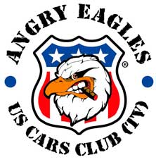 Angry Eagles US Cars